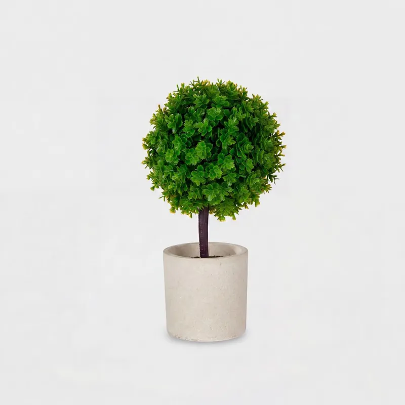 Planta floral ARBOL VERDE en maceta de cemento 24cm surtido - Decoración