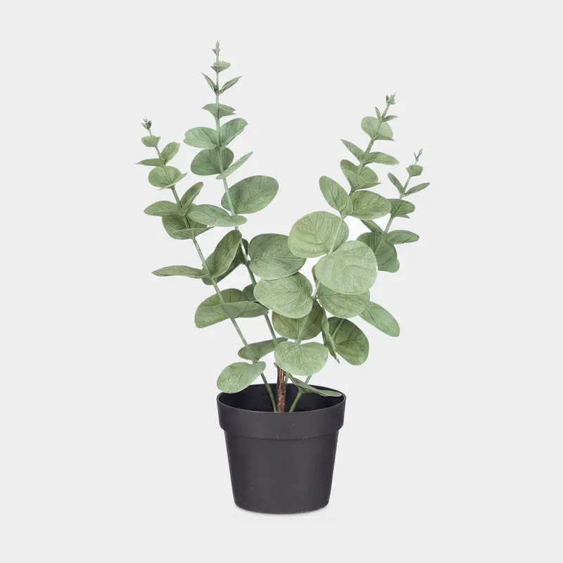 Planta floral HOJA REDONDA 35cm surtido - Decoración