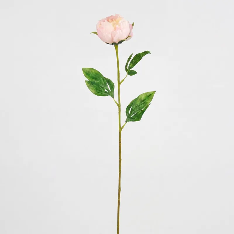 Planta floral PEONY blanca 60cm marca CONFORAMA - Decoración