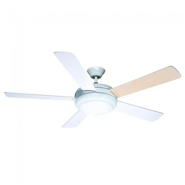 Ventilador Conte marca Wonderlamp - Electrodomésticos