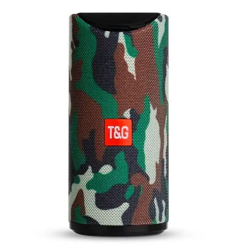Altavoz portátil inalámbrico T&G WS-900-43 Bluetooth/Radio Fm/USB negro