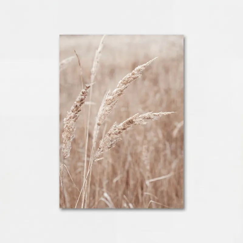 Canvas TRIGO 50x70cm marca CONFORAMA - Decoración