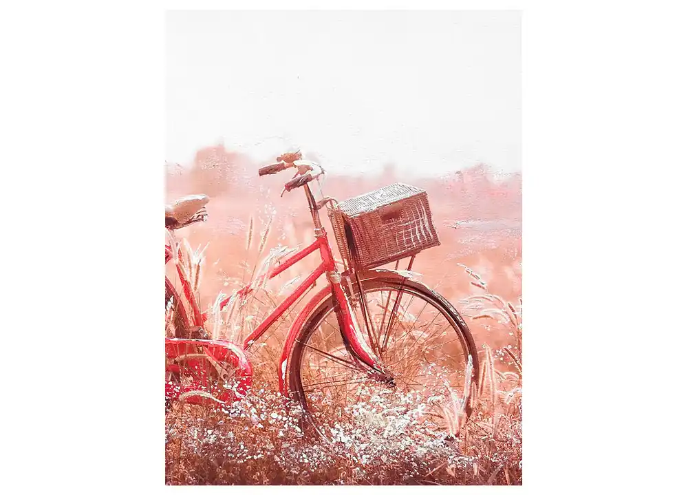 Pintura original BICYCLE marca MARCOMUEBLE - Decoración