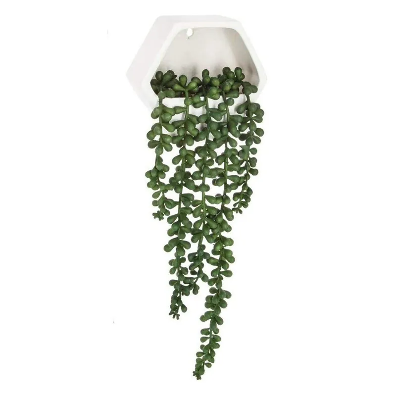 WELL HOME - Planta colgante de pared contemporánea