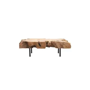 Mesa de Centro ROOT 120x60, Raíz Teca / Metal - Dareels