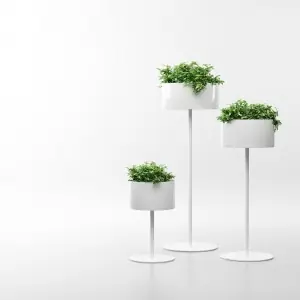 Macetero Green Cloud Light Systemtronic