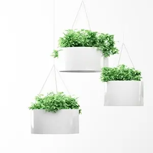 Macetero Green Cloud Systemtronic