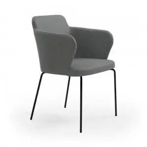 Sillón Evia metal Doos