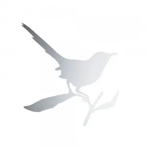 Espejo Taylor Bird Driade