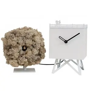 Reloj Birdwatching Progetti