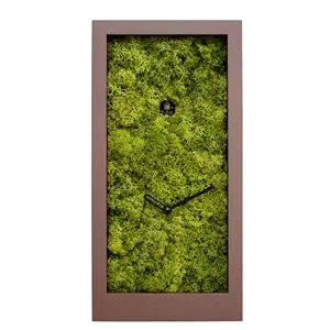 Reloj Amazon Progetti